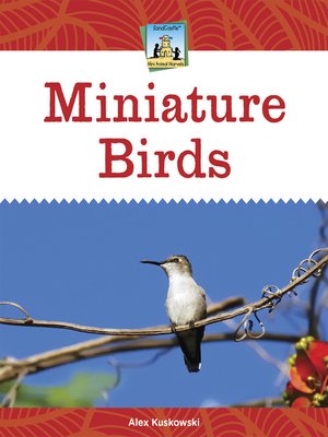 cover image of Miniature Birds